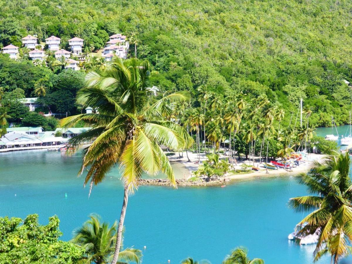 Hotel Palms Luxury Caribbean 3*