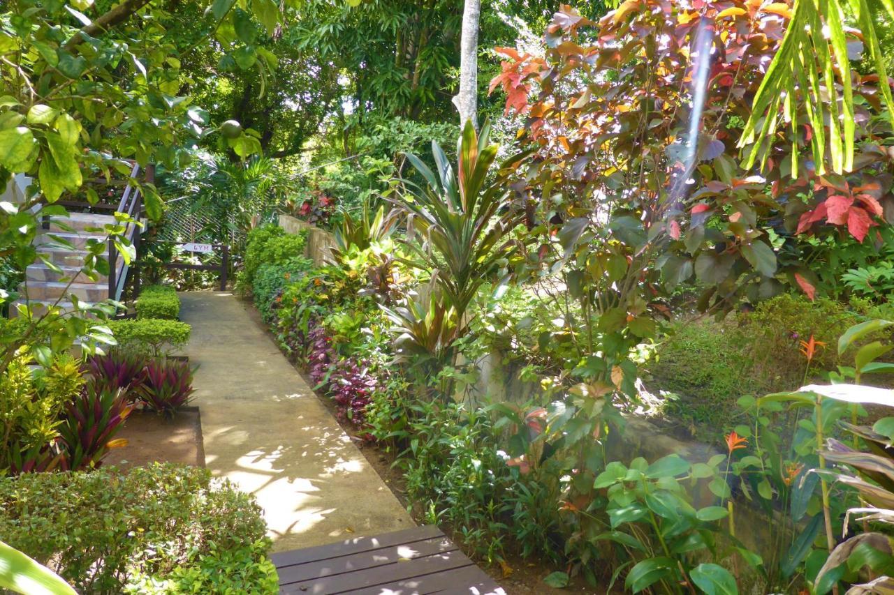 Palms Luxury Caribbean Hotel Marigot Bay