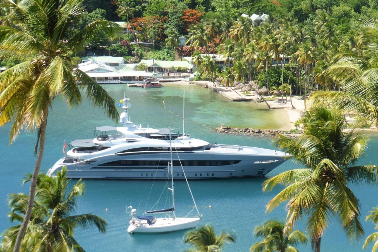 Hotel Palms Luxury Caribbean