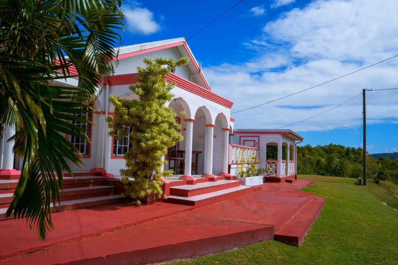Sunny Palm Villa