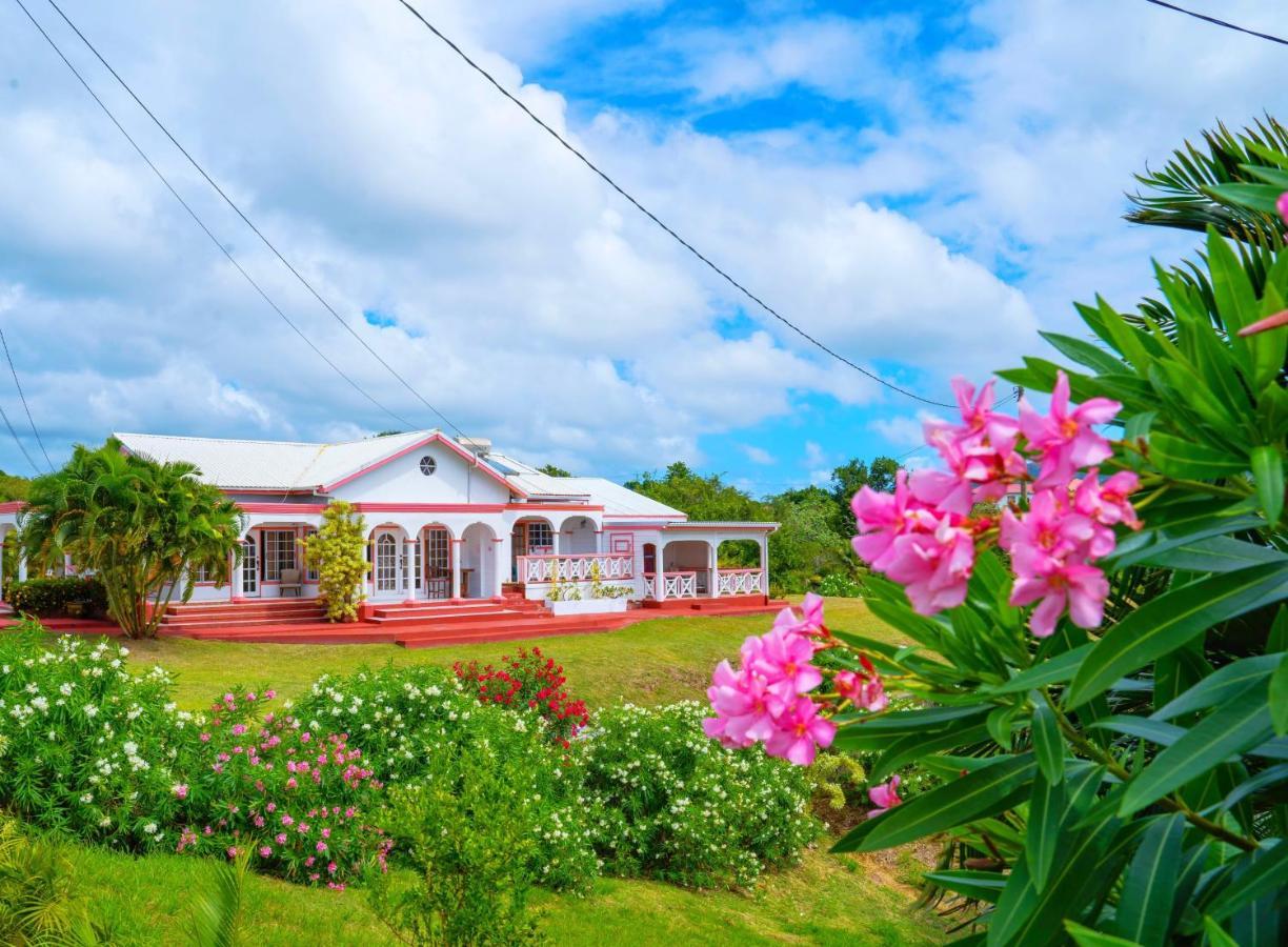 Villa Sunny Palm