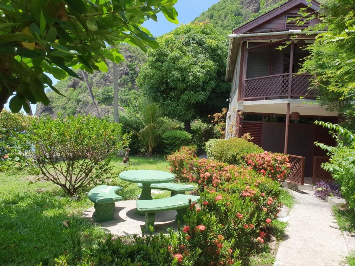 Hummingbird Soufriere