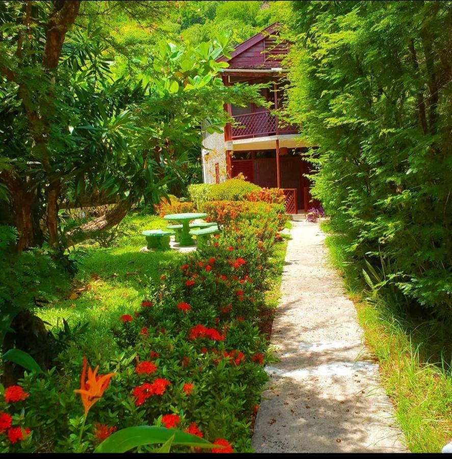 Hotel Hummingbird 3*