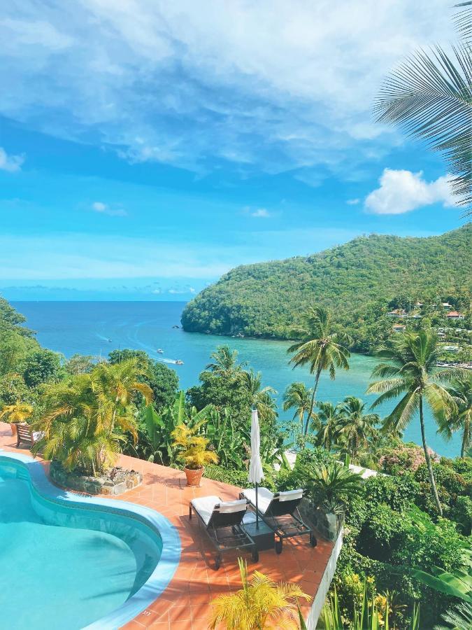 Hotel Palms Luxury Caribbean