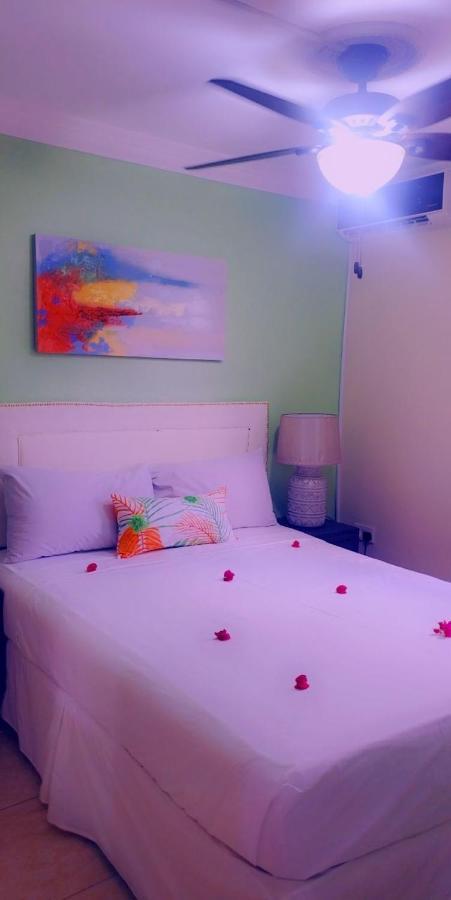 Sea Piton View Apartment- Location, Convenience, Modern Living Aparthotel Soufriere