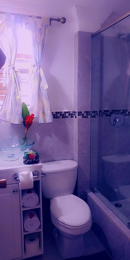 Sea Piton View Apartment- Location, Convenience, Modern Living