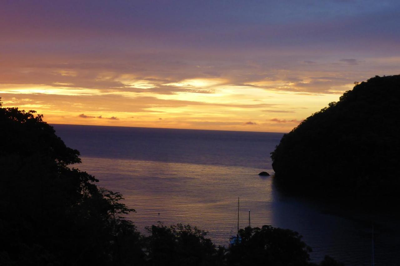 Hotel Palms Luxury Caribbean 3*