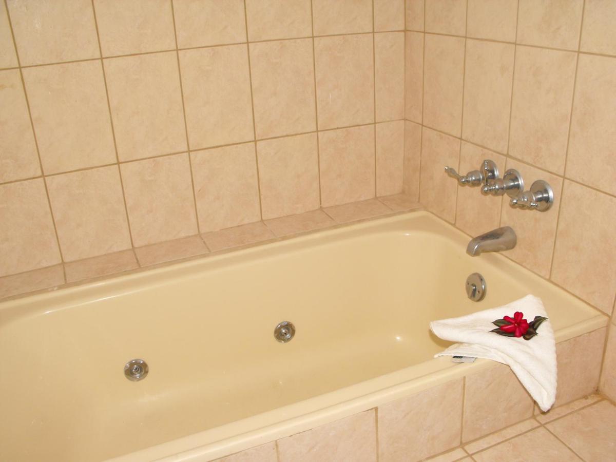 Apartment Belle View - Hibiscus *