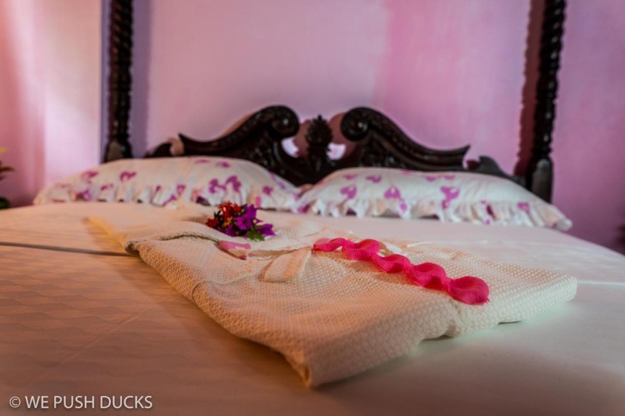 Belle View - Hibiscus Apartment Laborie