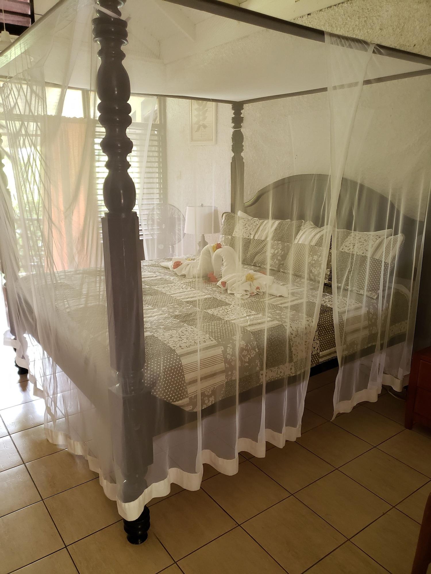 Hotel Hummingbird 3*
