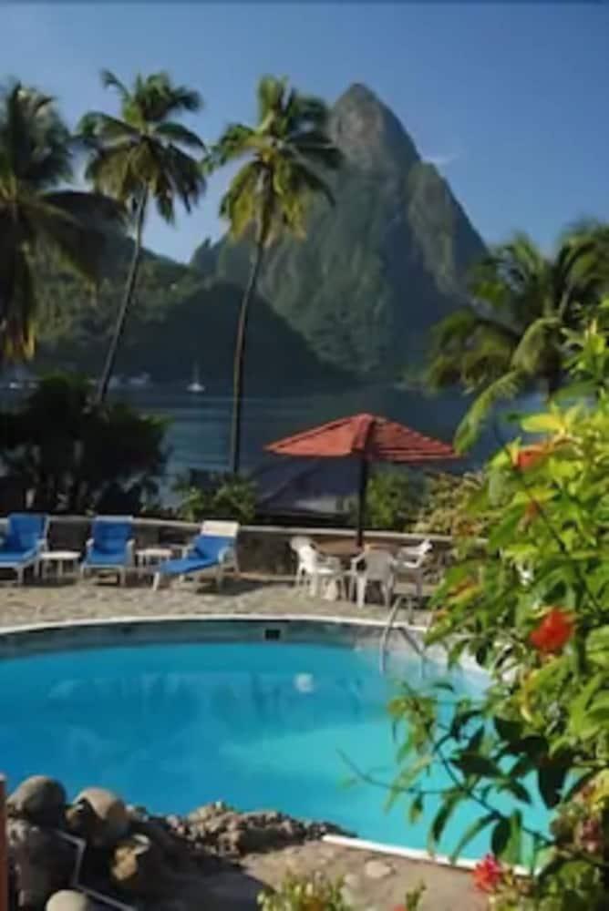 Hotel Hummingbird