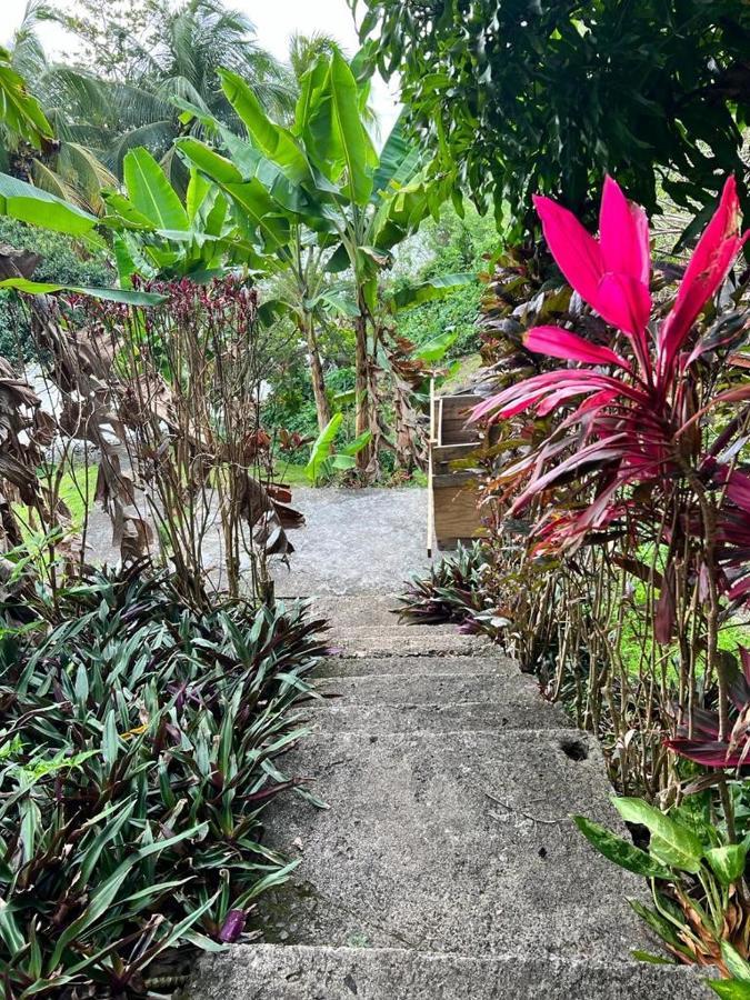 Casa Del Vega A Little Peace Of Heaven Guest house