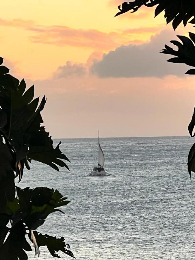 Casa Del Vega A Little Peace Of Heaven Guest house 3*