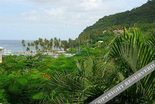 Jj's Paradise Hotel
