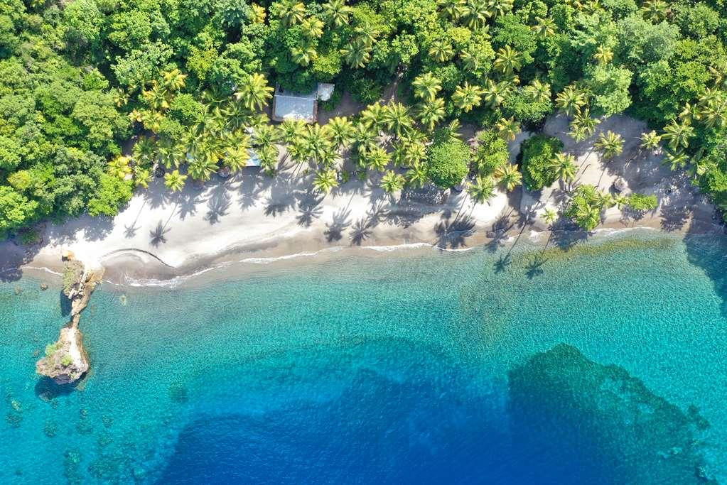 Anse Chastanet Resort 5*