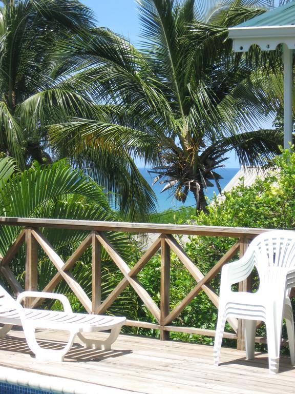 Palm Lodge