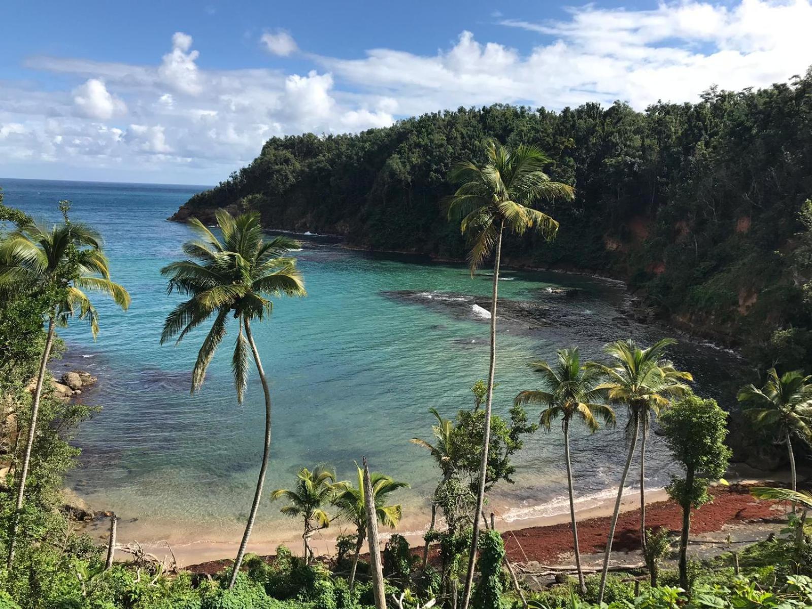 Italian Aparthotel Gros Islet