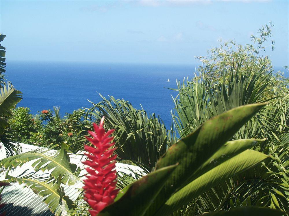 Bed & Breakfast Nature's Paradise Marigot Bay