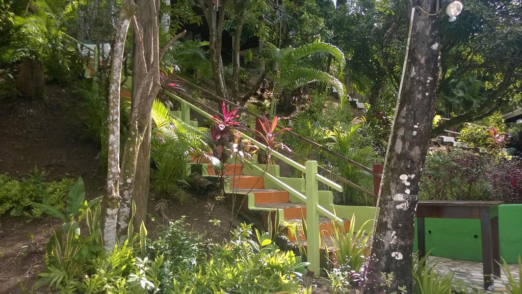 Jj's Paradise Marigot Bay