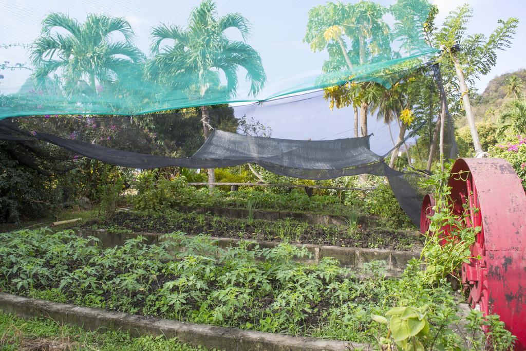 La 3* Soufriere