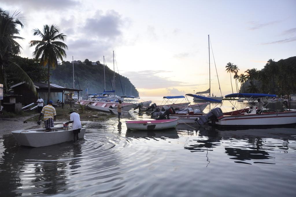 Palms Luxury Caribbean Hotel 3*