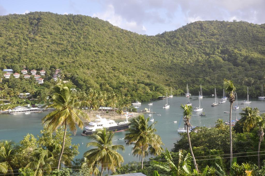 Palms Luxury Caribbean Hotel Marigot Bay