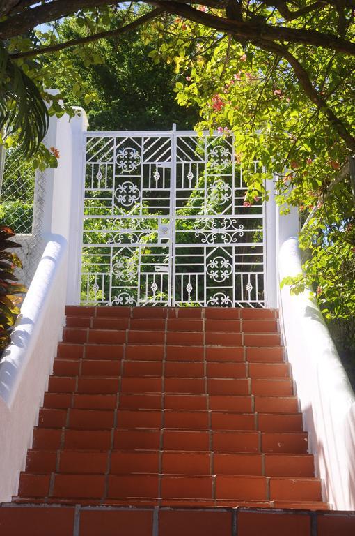 Hotel Palms Luxury Caribbean