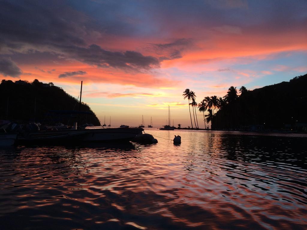 Palms Luxury Caribbean