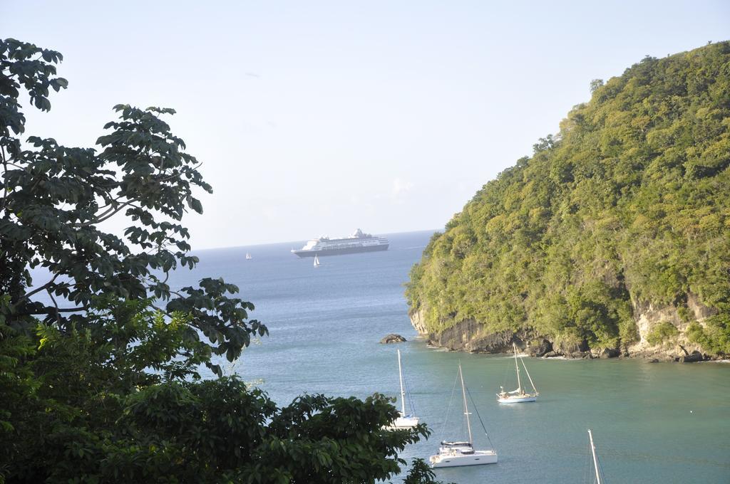 Hotel Palms Luxury Caribbean 3*