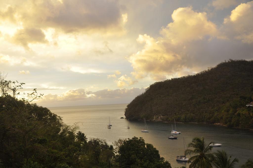 Palms Luxury Caribbean 3*