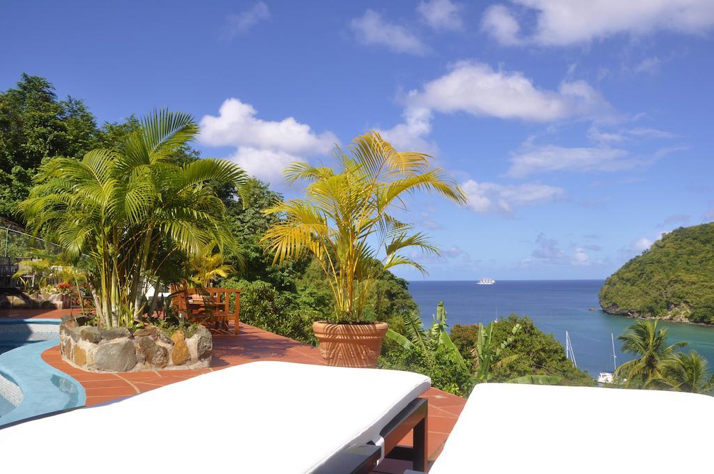 Palms Luxury Caribbean