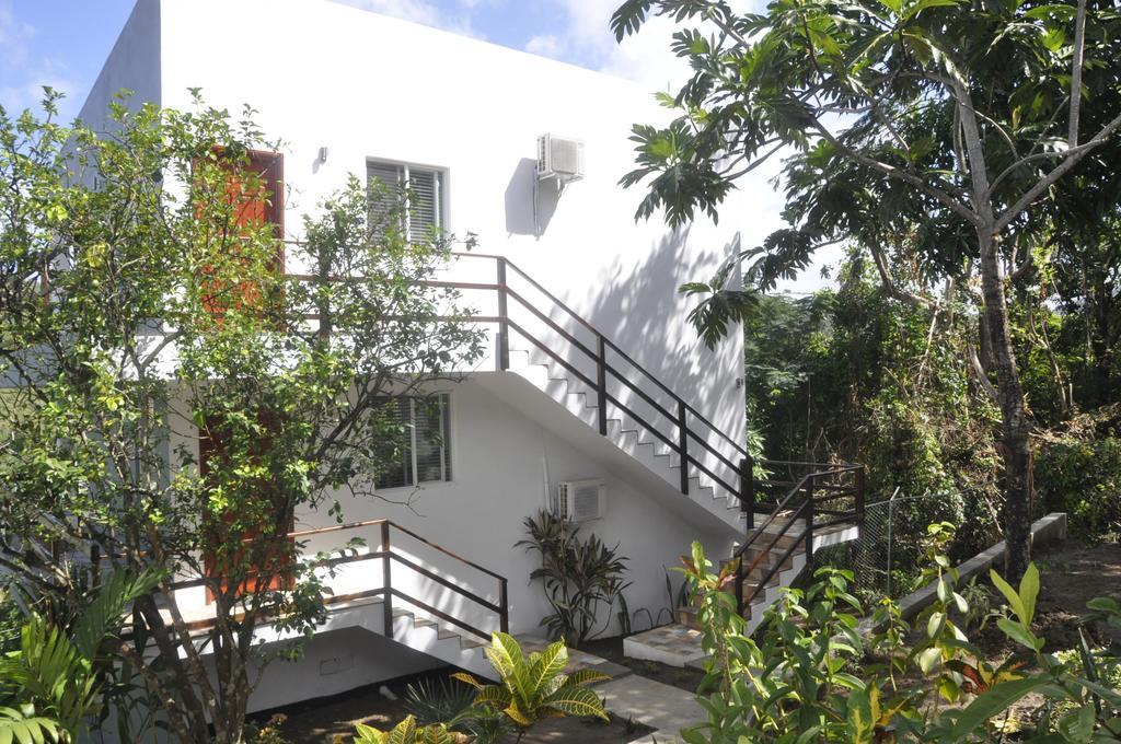 Palms Luxury Caribbean 3*