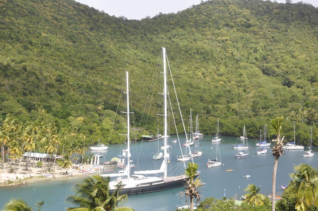 Hotel Palms Luxury Caribbean