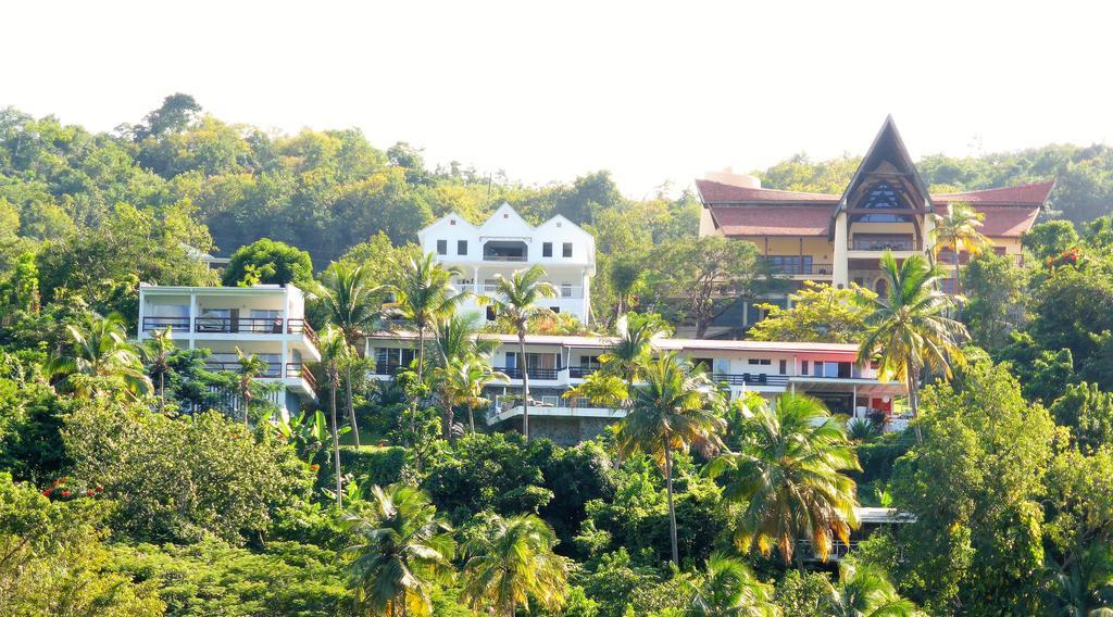 Hotel Palms Luxury Caribbean