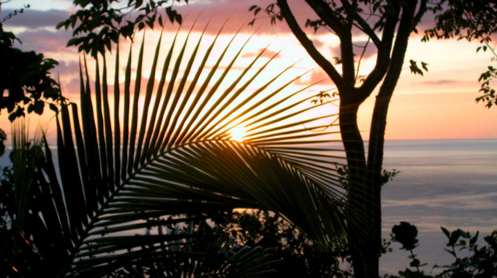 Nature's Paradise
