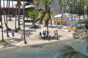 Palms Luxury Hotel