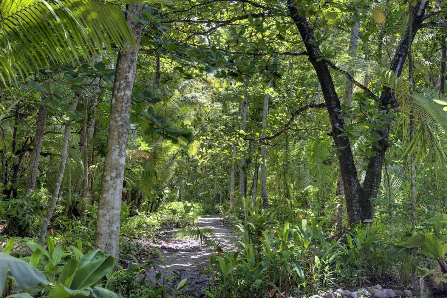 Anse Chastanet Soufriere