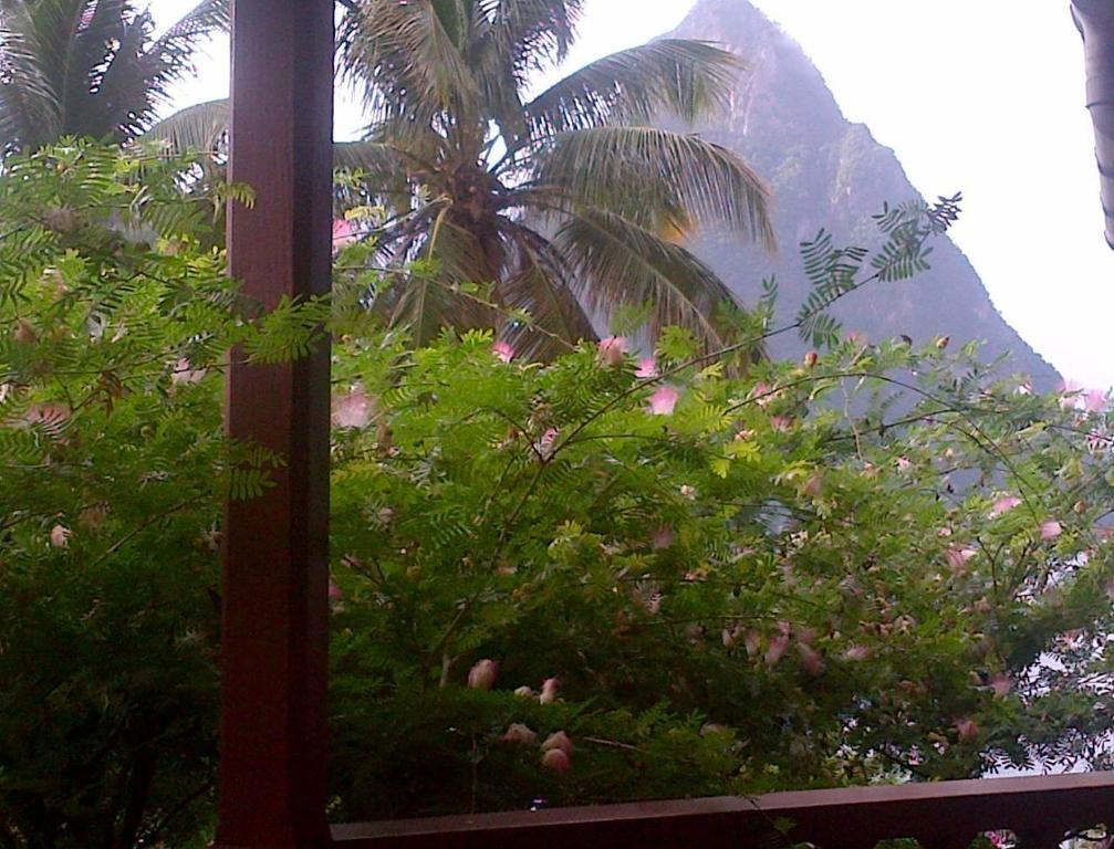 Hotel Hummingbird Soufriere