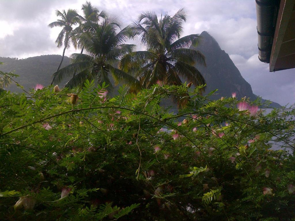 Hummingbird 3* Soufriere