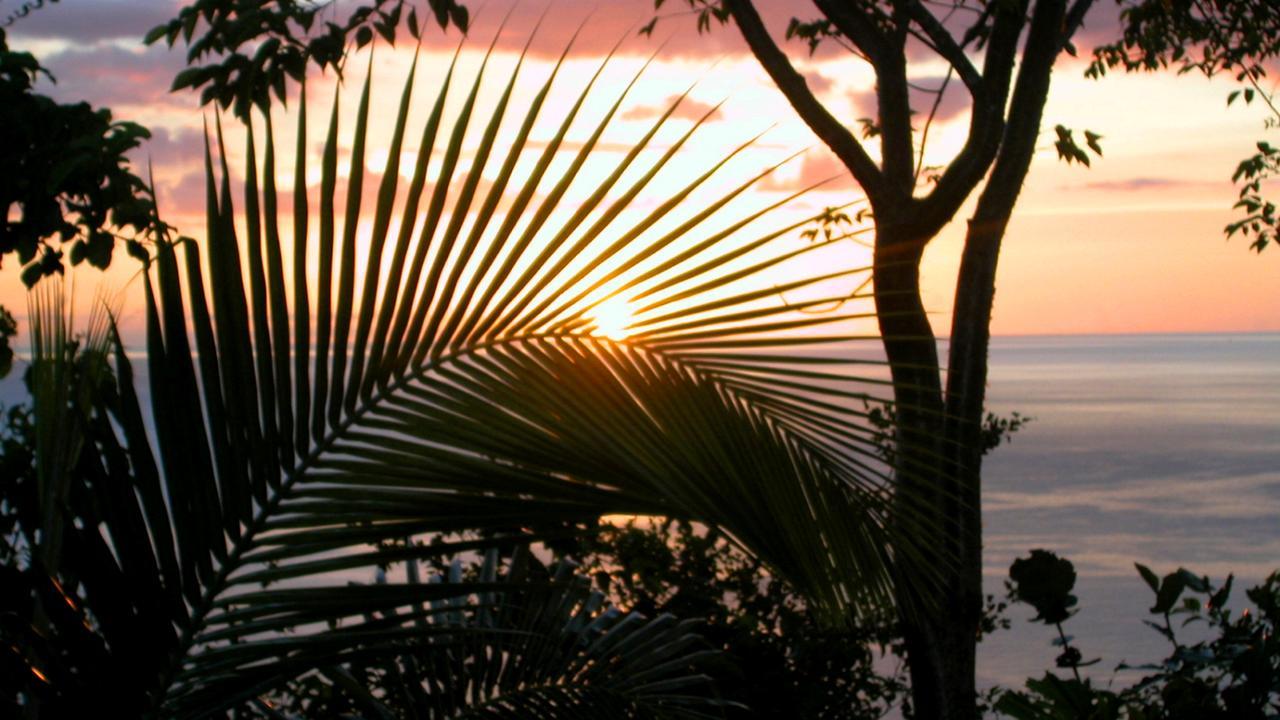 Bed & Breakfast Nature's Paradise