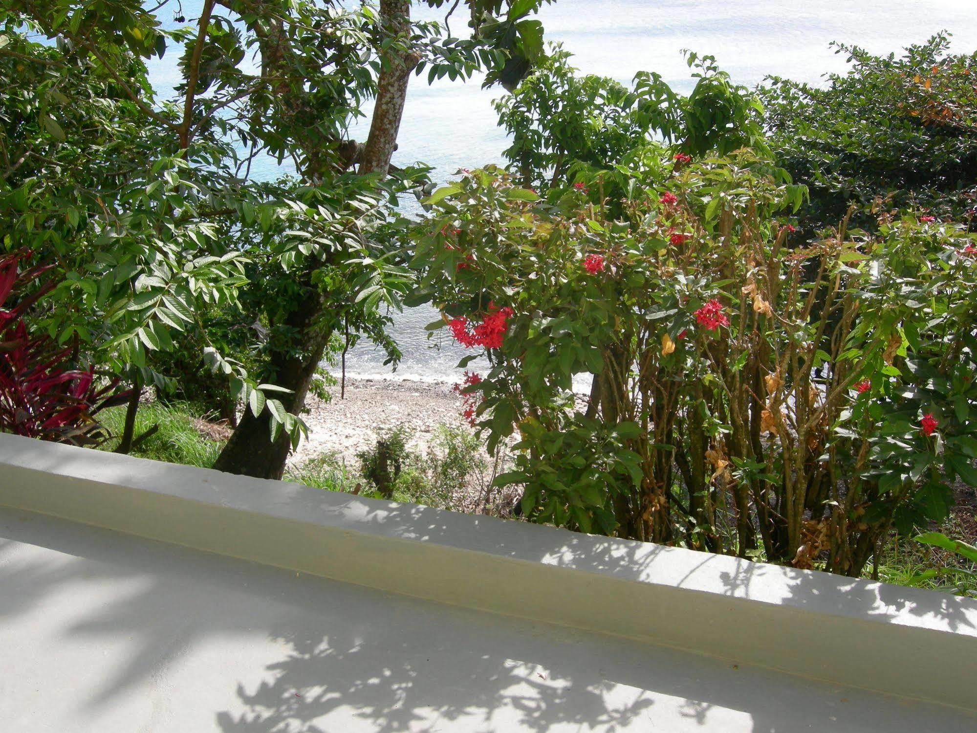 Guest house Casa Del Vega A Little Peace Of Heaven Castries