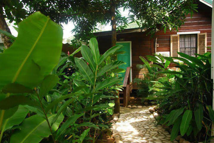 Hotel Jj's Paradise 4*