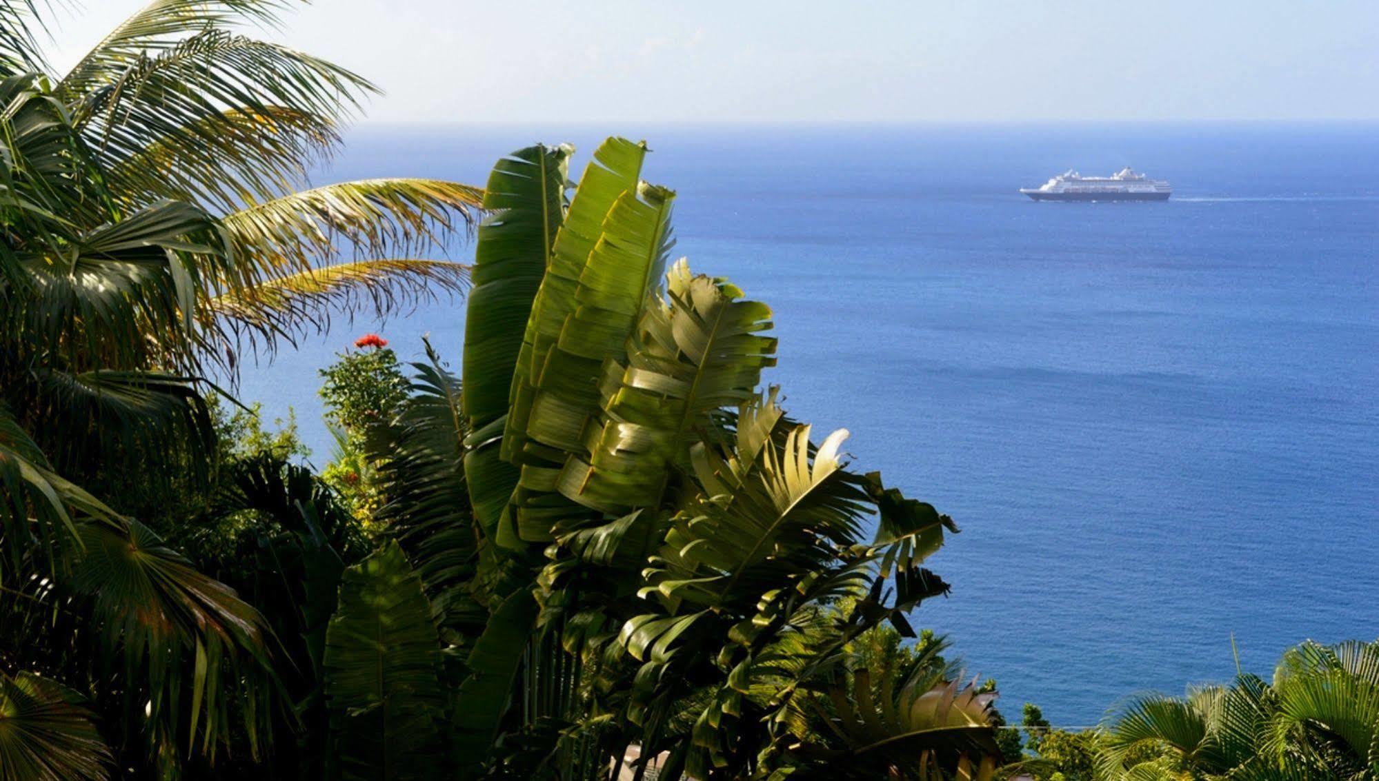 Nature's Paradise Bed & Breakfast Marigot Bay