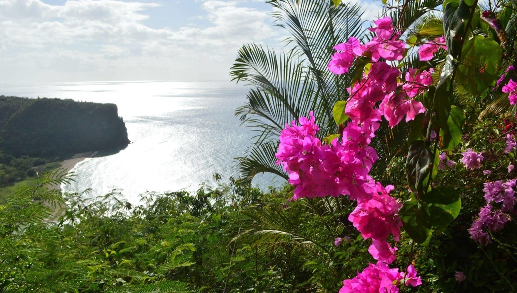 Nature's Paradise 3* Marigot Bay