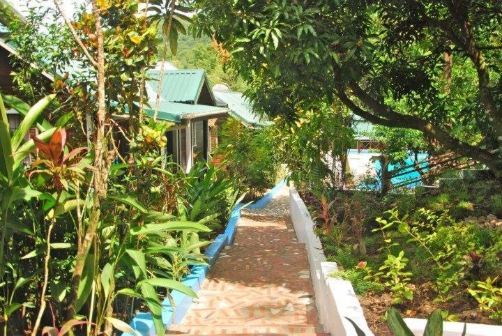Hotel Jj's Paradise 4*