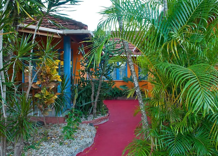 Le Jardin De Rodney