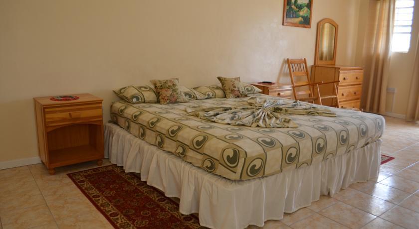 Qr Quality Cedar Palm * Vieux Fort