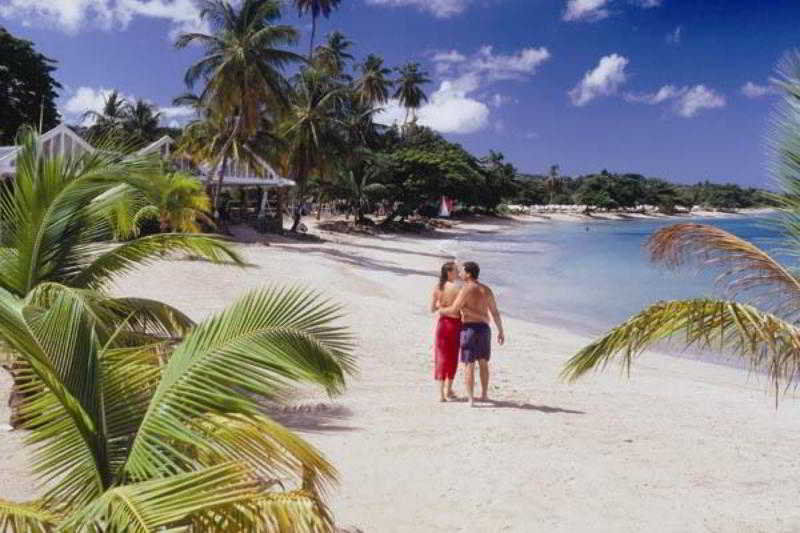 Rendezvous (adults Only) 4*