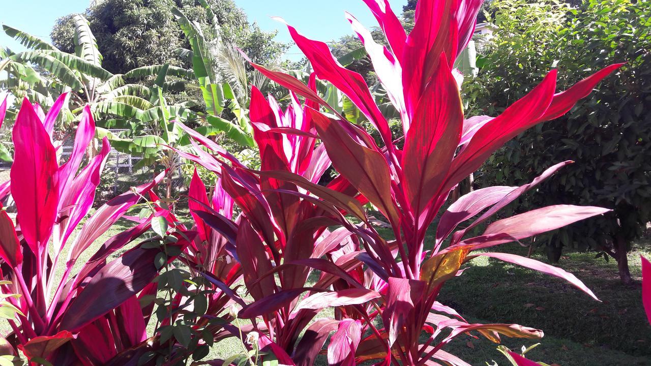 Palm View By Rodney Bay Marina Apartment Gros Islet