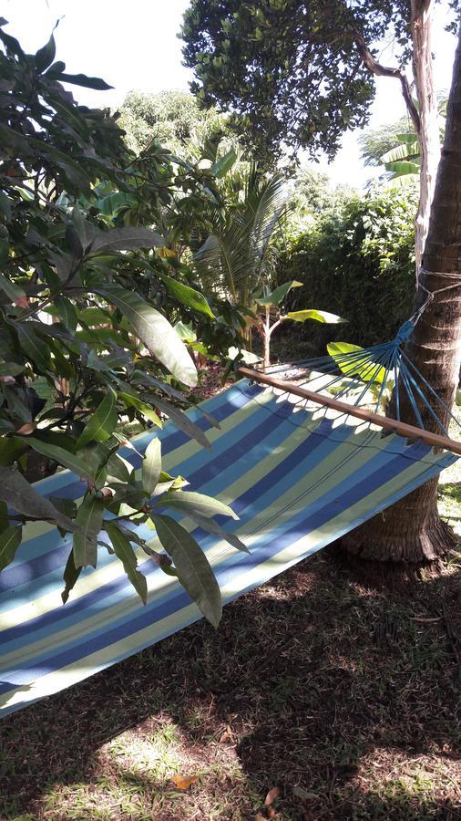 Palm View By Rodney Bay Marina Apartment